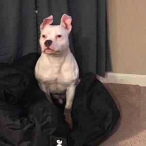 Meet your Posher, Rickey